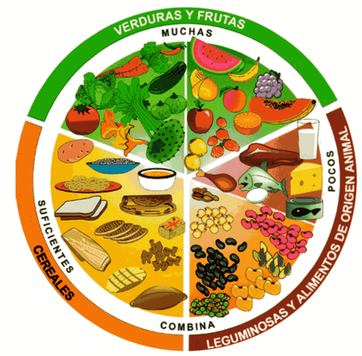 Galeria Salud Ocupacional